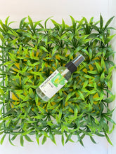 Load image into Gallery viewer, NO-BO Natural Deodorant *Preorder*